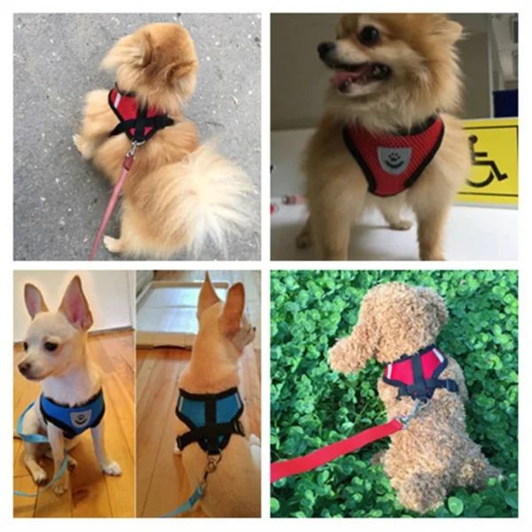 Reflective Breathable Mesh Dog Harness and Leash Set Puppy Dog Cat Vest Harness for Small Dogs Dog Accessories Supplies - Image 2