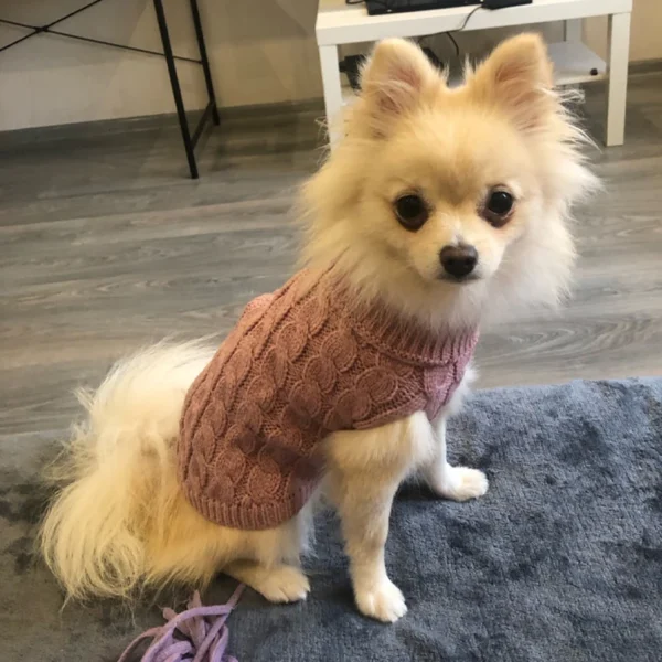 Pet Clothing Winter Warm Sweaters for Small Medium Dogs Turtleneck Knitted Puppy Cat Sweater Vest Chihuahua Yorkie Coat Jacket - Image 3